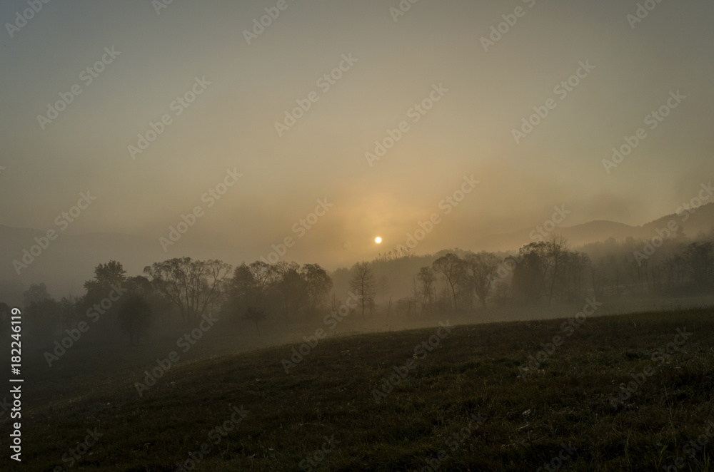 Naklejka premium świt nad polami 