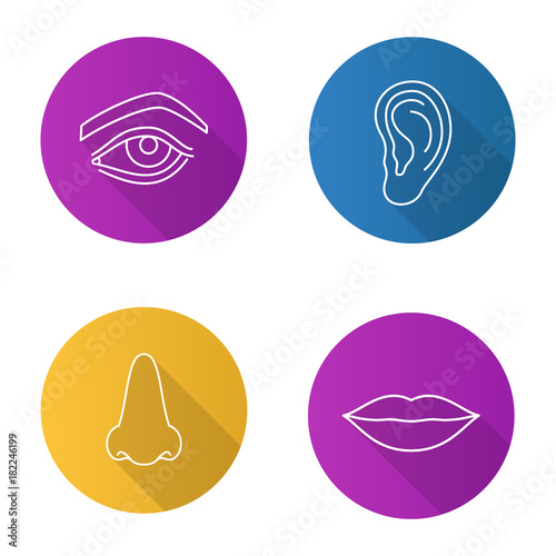 Wallpaper Mural Facial body parts flat linear long shadow icons set Torontodigital.ca