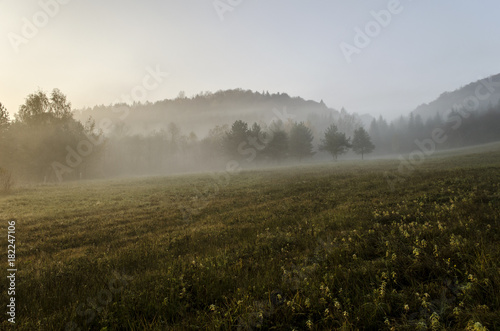 pola, mgła 