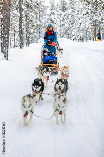 Husky safari