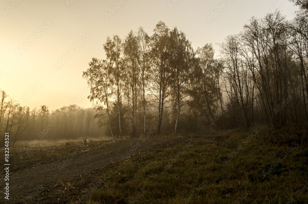 Fototapeta premium świt nad polami 