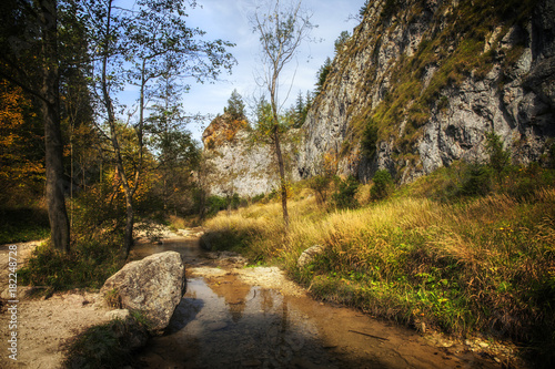 Homole gorge in Pieniny mountains. photo