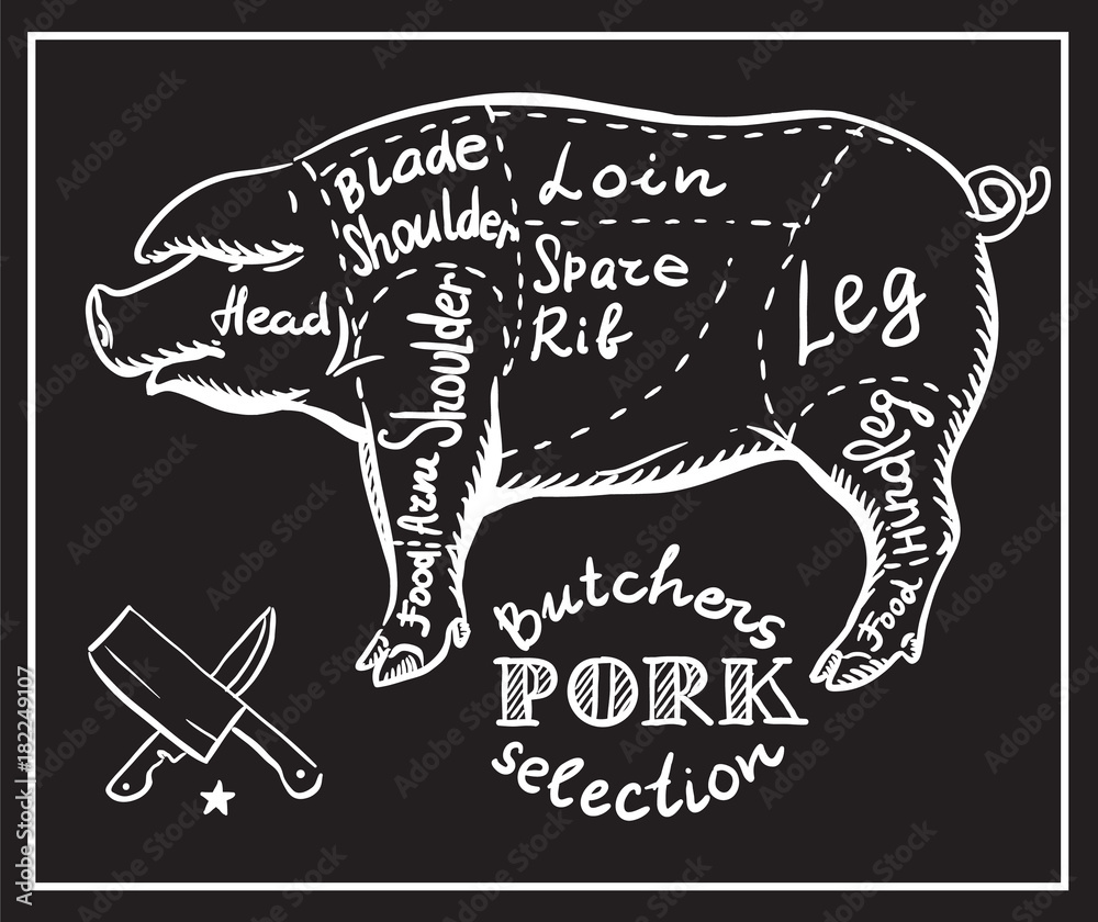 Butchers shop / Creative conceptual vector. Sketch hand drawn pork meat ...