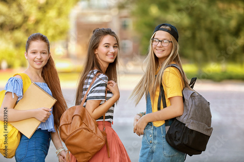 Cute teenager girls meeting...