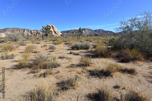 A Rocky Landscape at the Joshua tree national park.