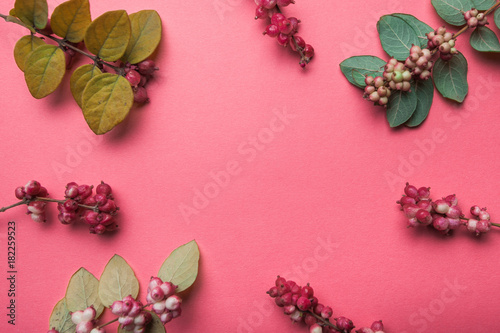 Autumn decor of wild herbs and branches on a pink background.