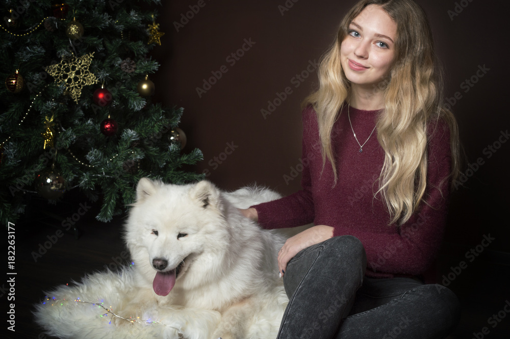 girl with big white fluffy dog sitting under the tree girl with big white fluffy dog sitting under the tree