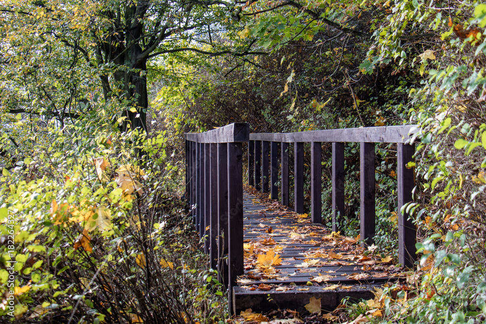 Beautiful little bridge in the park in autumn.