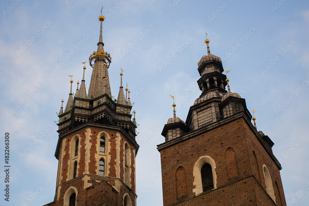 Obraz premium Gothic architecture