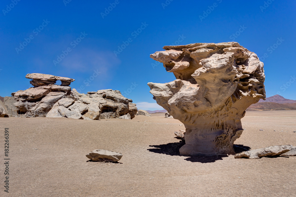 arbol de piedra Altiplano Bolivia