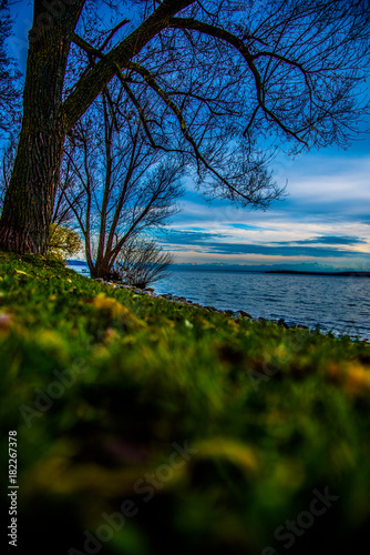 Herbstbaum
