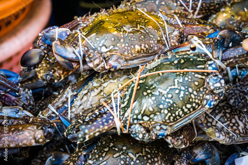 Fresh crabs in fishery market