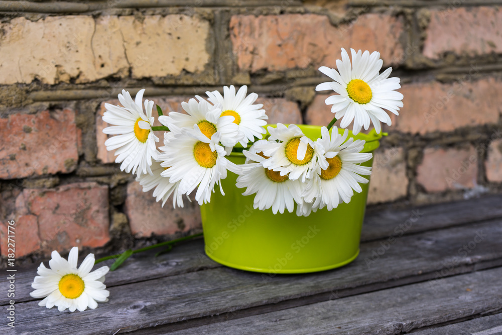 Obraz premium Bouquet of chamomile flowers