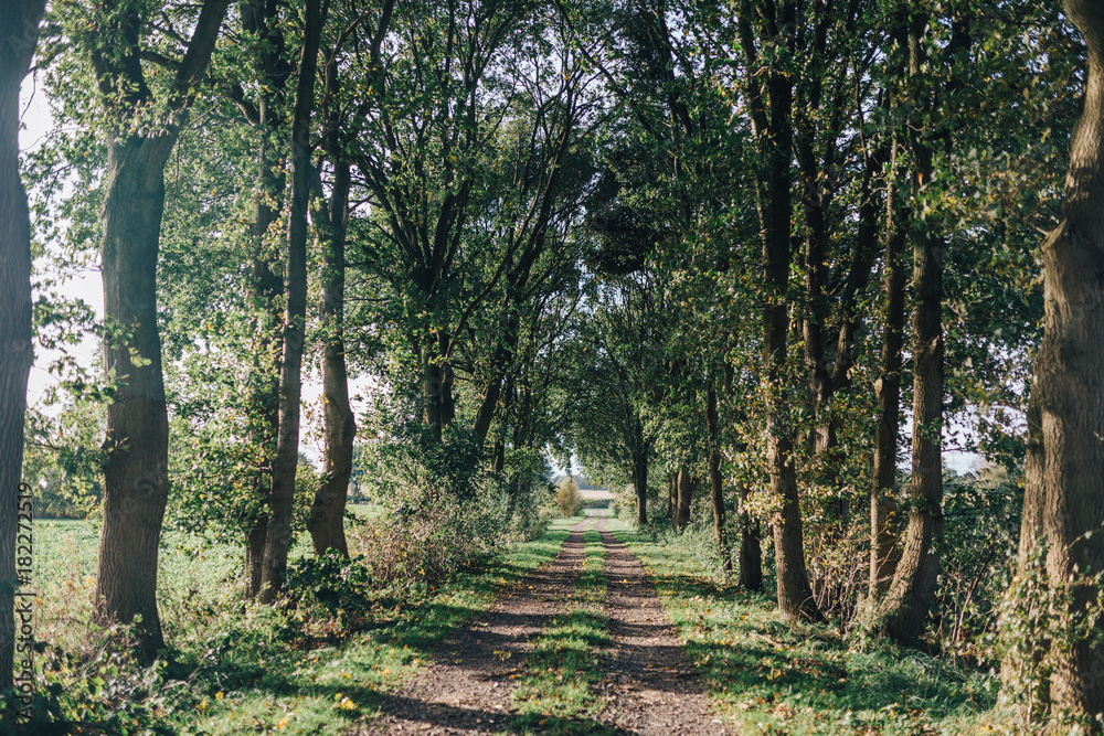 Herbst-Spaziergang in Dollern auf der Geest (Niedersachsen) Herbst-Spaziergang in Dollern auf der Geest (Niedersachsen)