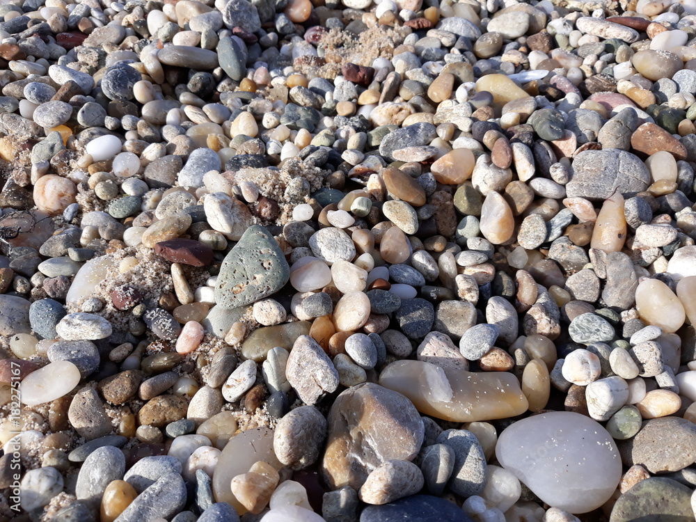 Deniz taşları Deniz taşları