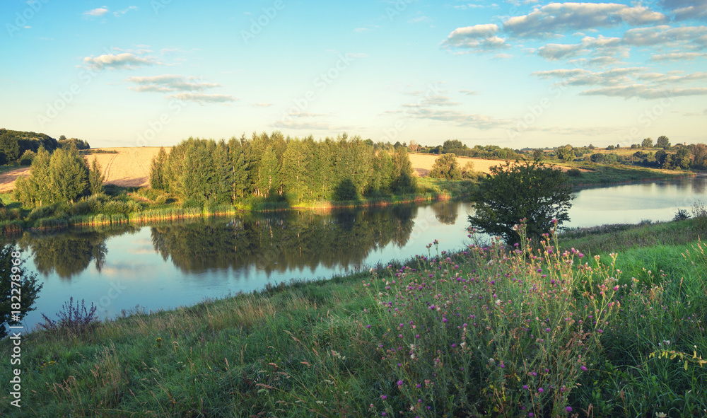 Sunny summer landscape with river