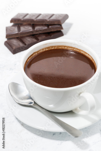 a cup of hot chocolate, vertical closeup