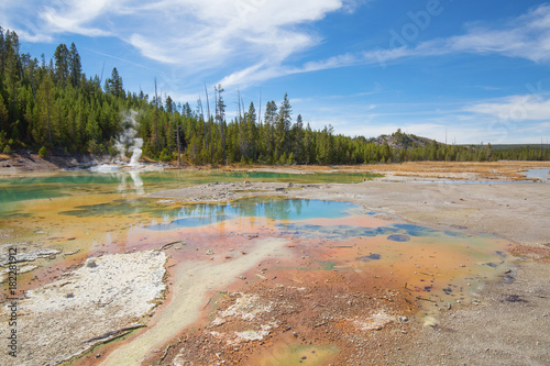 Norris geyser basin