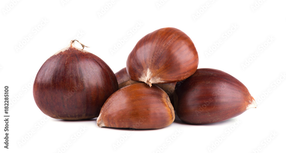 Fresh chestnuts isolated on white background. Hippocastanum isolated. Chestnut with clipping path Fresh chestnuts isolated on white background. Hippocastanum isolated. Chestnut with clipping path