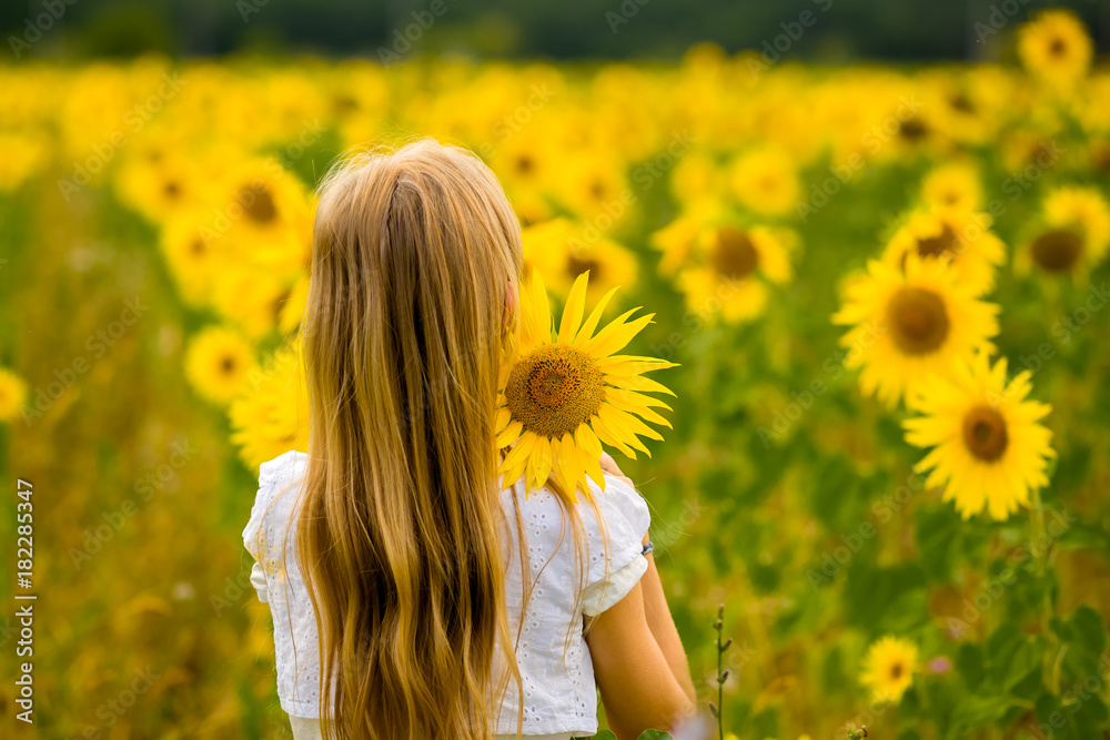 girl walking and posing in field with sunflowers girl walking and posing in field with sunflowers