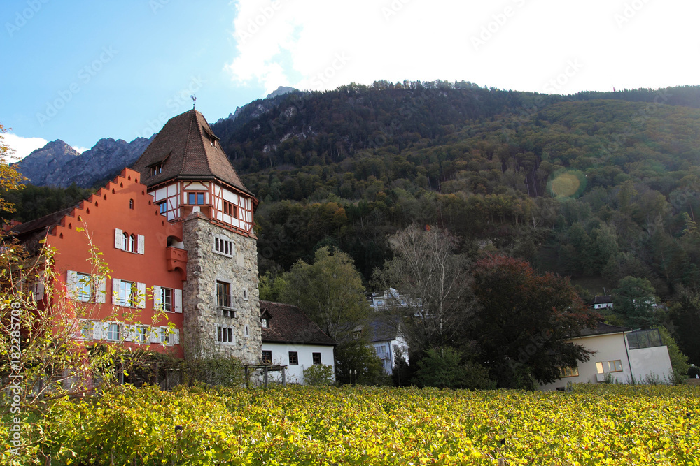 Vineyards in Vaduz