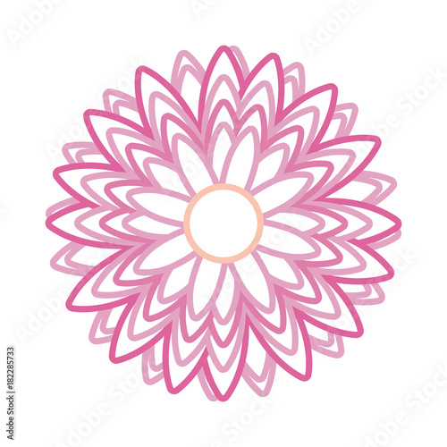 beautiful flower icon 