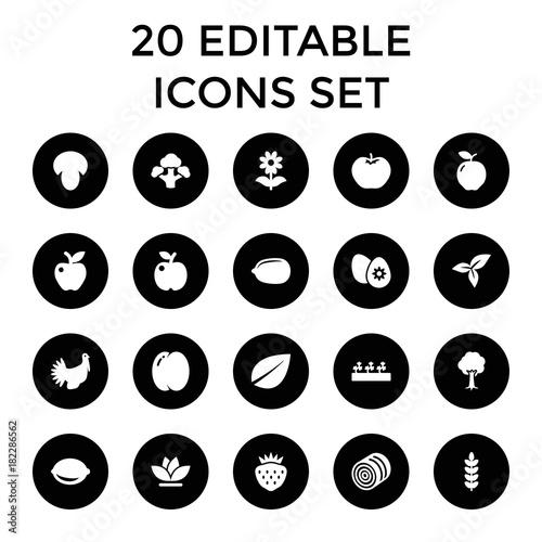 Set of 20 organic filled icons