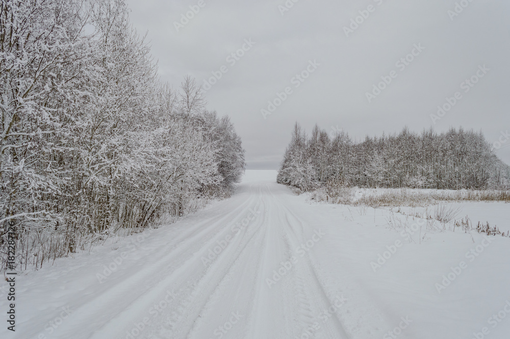 Obraz premium winter rural scene with snow and white fields