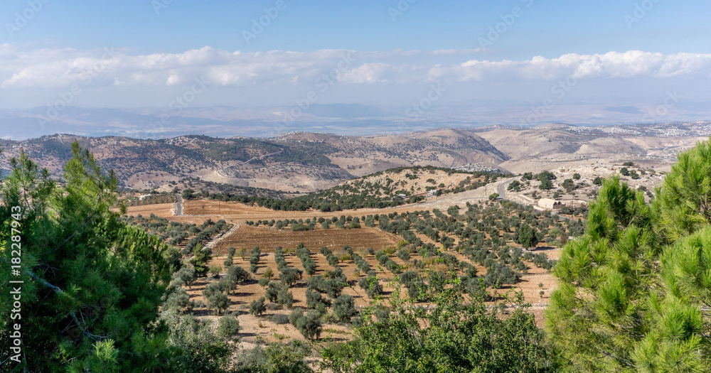 Panoramic view of the Jordan Valley with view of olive groves