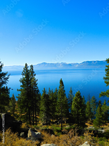 Lake Tahoe Mountains and Waters Through Evergreens