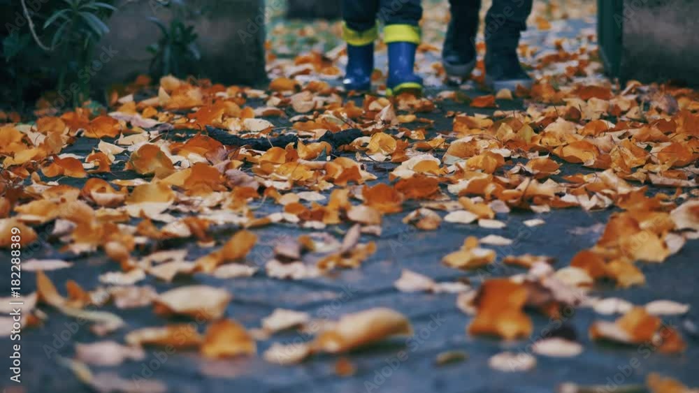 toddler boy playing in the garden in an autumn day toddler boy playing in the garden in an autumn day
