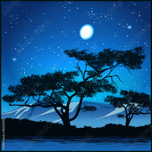 Trees at starry night