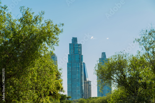 Puerto Madero buildings framed by nature, green trees