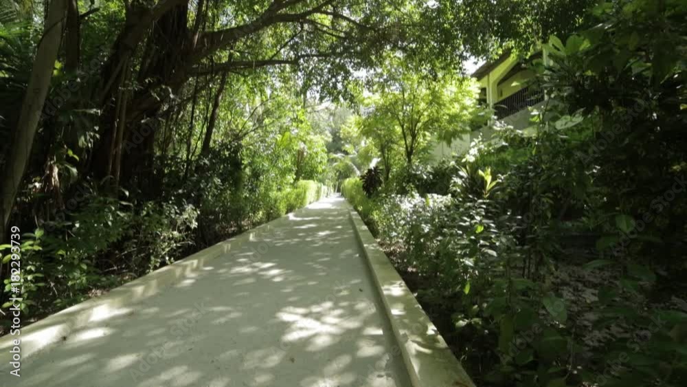 Walkway on the island Walkway on the island