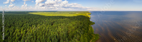 Aerial view of the coastal line at summer day. Lake and forest.