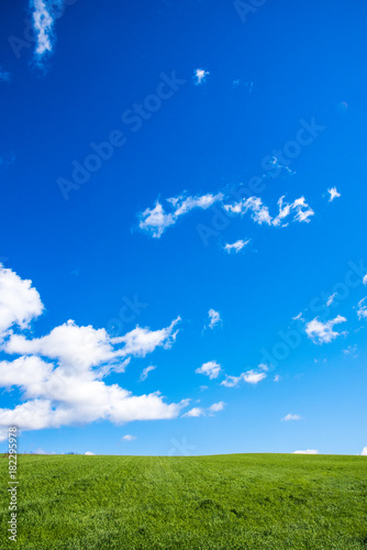 丘の風景　秋景色　美瑛　拓進
