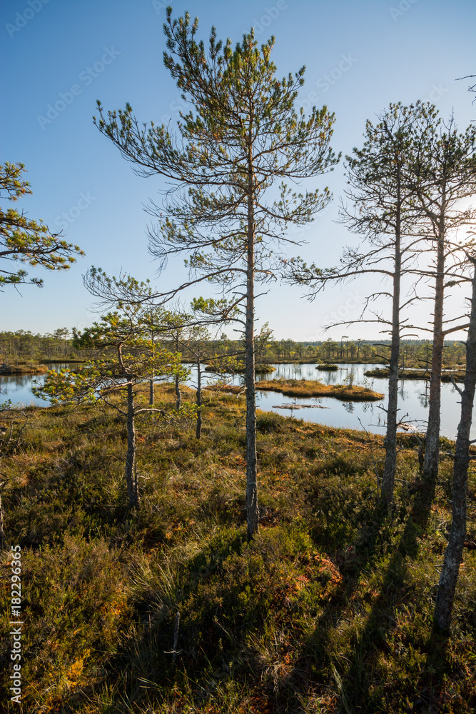 Huge bogs at national park in autumn.