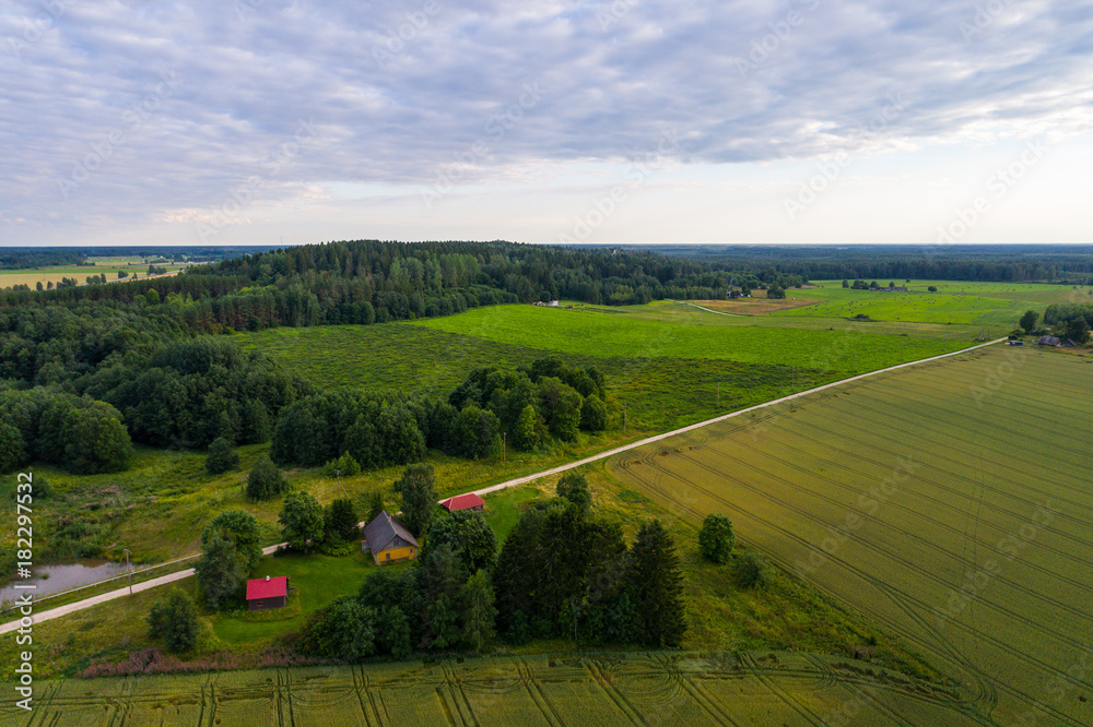Aerial view of amazing summer landscape. Fields and meadows from above.