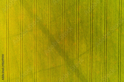 Wallpaper Mural Aerial view of amazing summer landscape. Fields and meadows from above. Torontodigital.ca