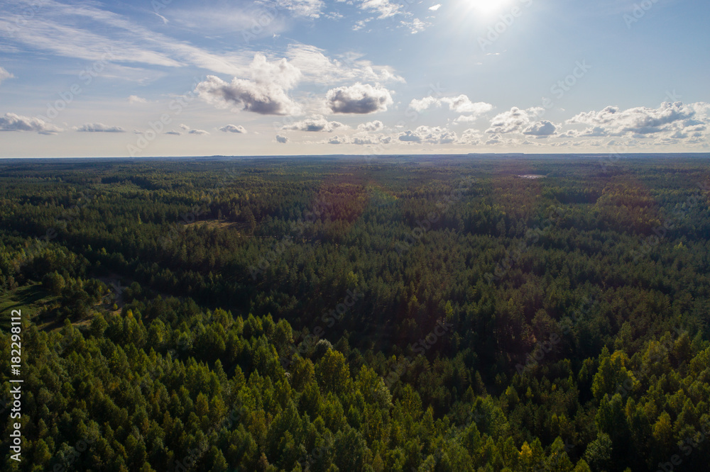 Obraz premium Overhead view of foliage trees, river and road in Western Europe. Aerial photography.