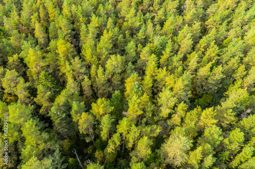 Overhead view of foliage trees, river and road in Western Europe. Aerial photography.