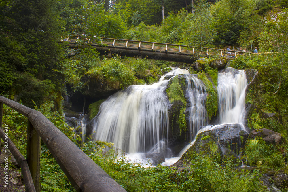 Obraz premium Triberg Falls in Black Forest region, Germany