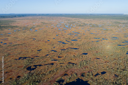 Aerial view of Beautiful lakes in swamp land. Bogs.