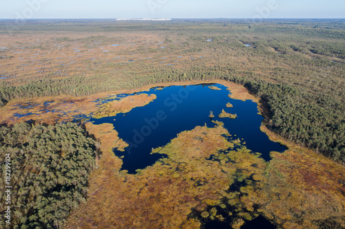 Aerial view of Beautiful lakes in swamp land. Bogs. © nikwaller