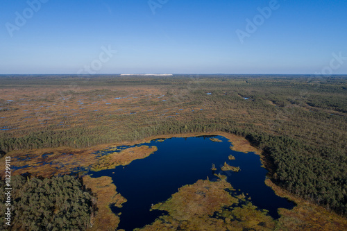 Aerial view of Beautiful lakes in swamp land. Bogs.
