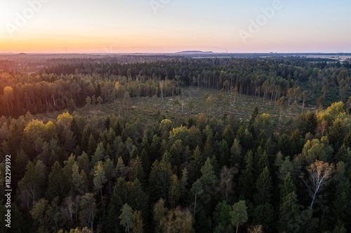 Aerial view of autumn forest in Estonia. Sunset over the forest. © nikwaller