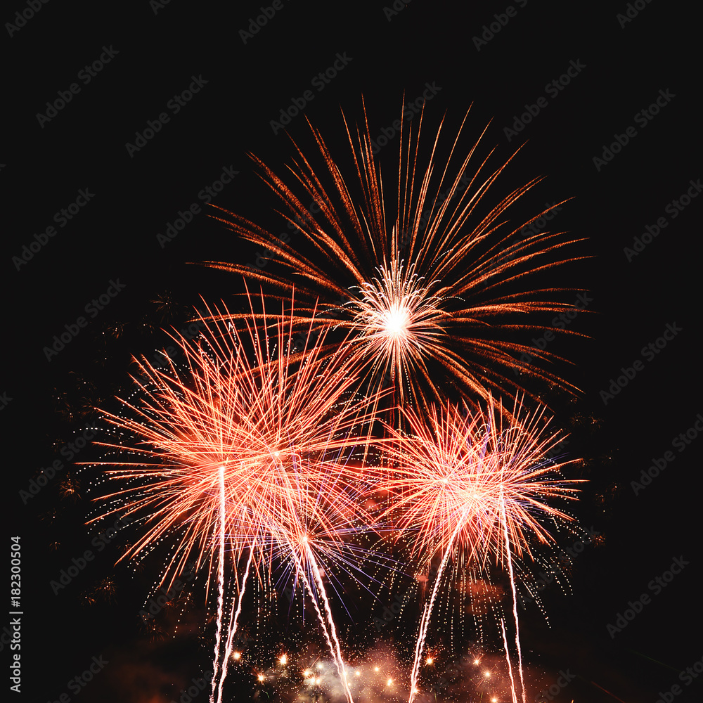 Real colorful Fireworks background for celebration festival as New year or Christmas