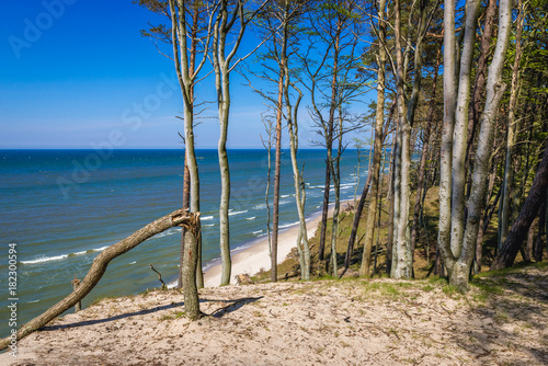 Baltic Sea cliff near small village Orzechowo, Poland