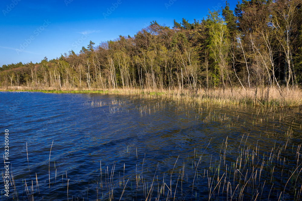 Shore of Dolgie Wielke Lake near Baltic Sea coast in Slowinski National Park, Poland Shore of Dolgie Wielke Lake near Baltic Sea coast in Slowinski National Park, Poland