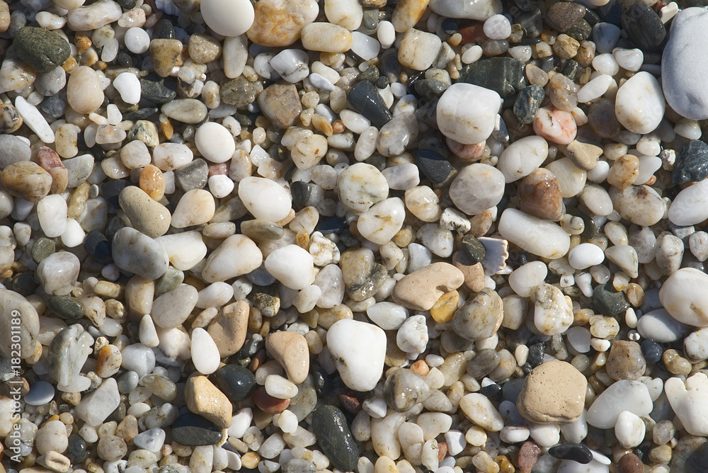 Background light-brown and grey texture of wet pebbles on the beach.      